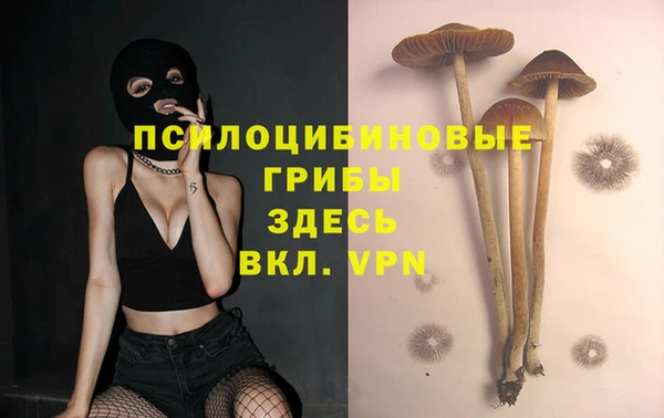 мдпв Каменногорск