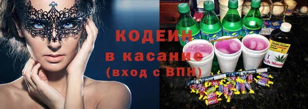 мдпв Каменногорск